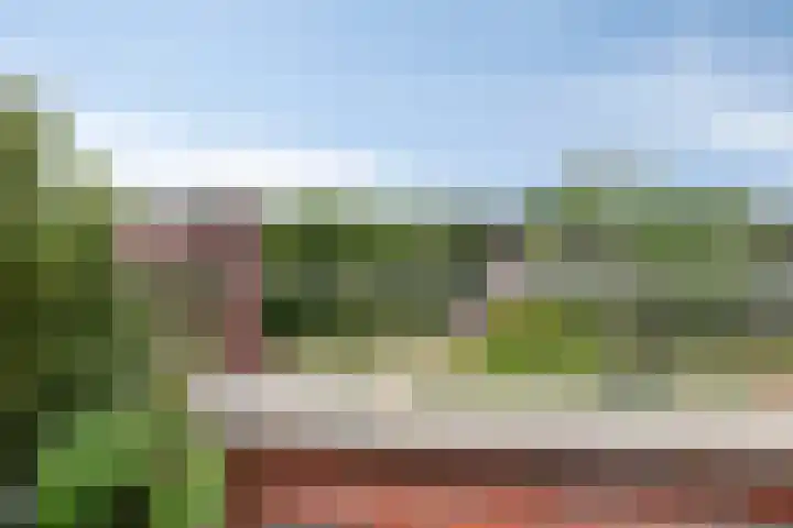 Tamboer 66 Best thumbnail 18