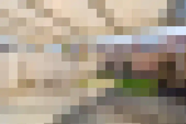 Tamboerijnstraat 10 Uden thumbnail 21