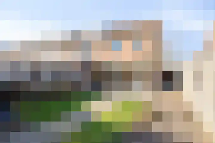 Tamboerijnstraat 10 Uden thumbnail 22