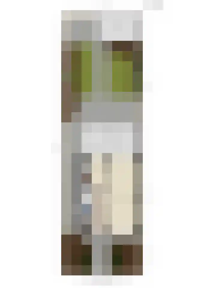 Tamboerijnstraat 10 Uden thumbnail 31