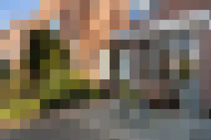 Tamboerstraat 17 Weert thumbnail 8