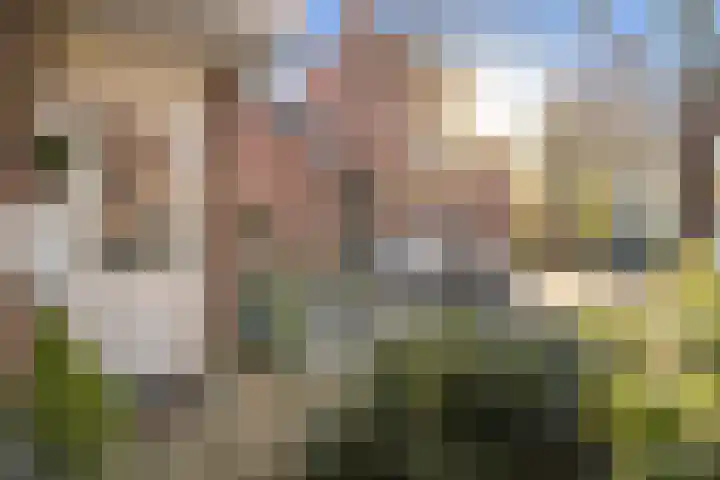 Tamboerstraat 17 Weert thumbnail 9