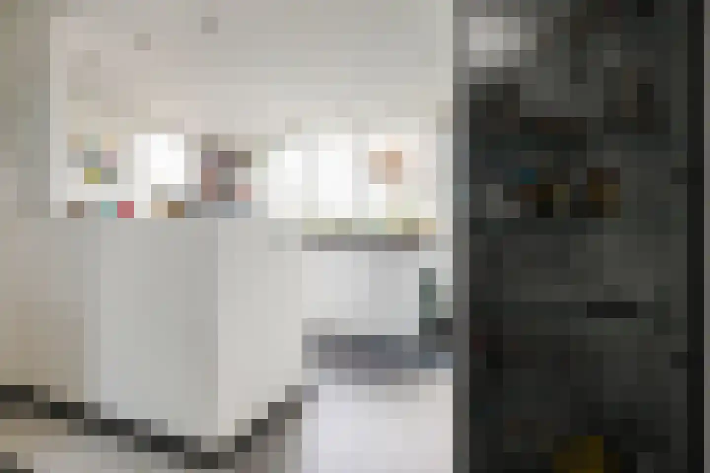 Taniaburg 36 Hoofddorp thumbnail 17
