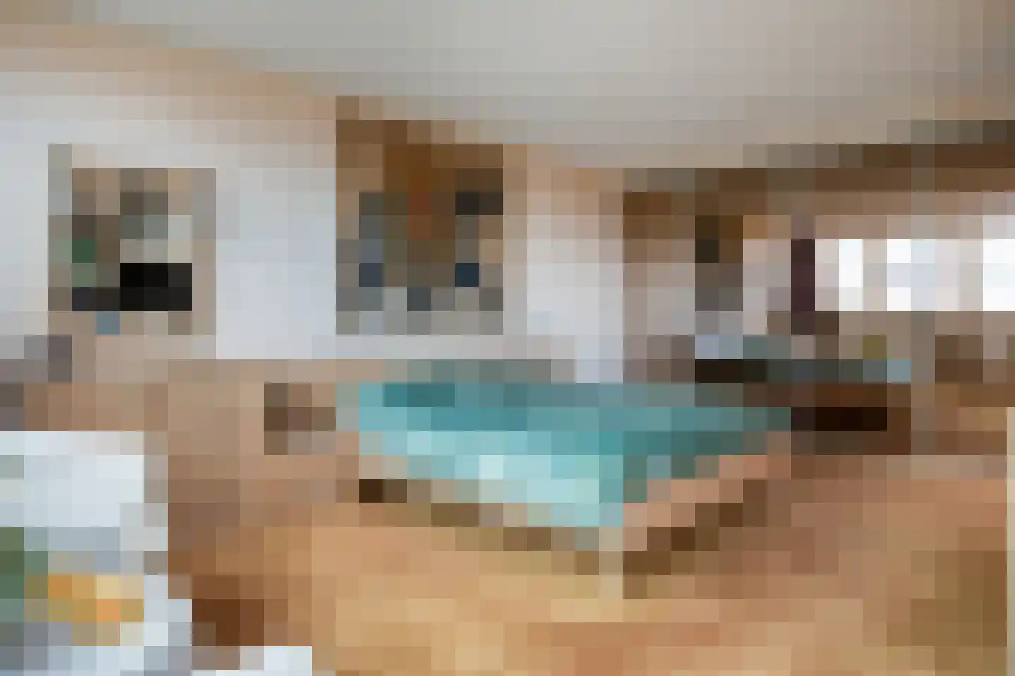 Taniaburg 36 Hoofddorp thumbnail 31