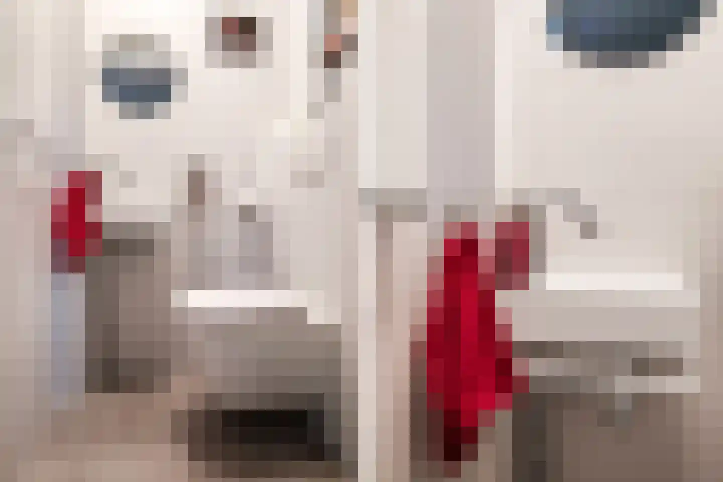 Taniaburg 36 Hoofddorp thumbnail 8