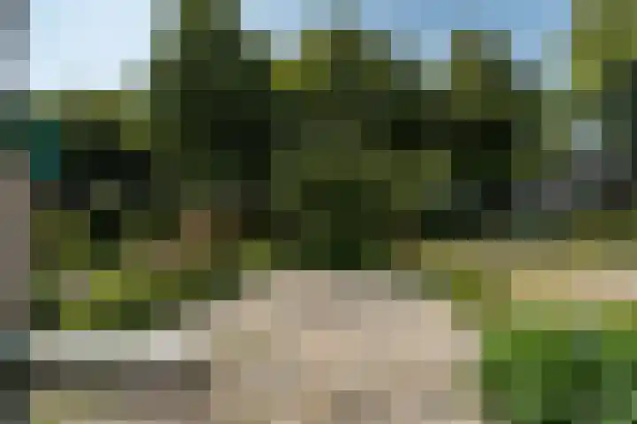 Tanjabuurt 7 Achlum thumbnail 12
