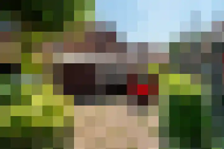 Tanjabuurt 7 Achlum thumbnail 13