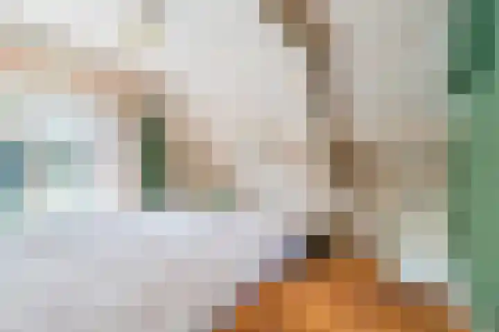 Tanjabuurt 7 Achlum thumbnail 34