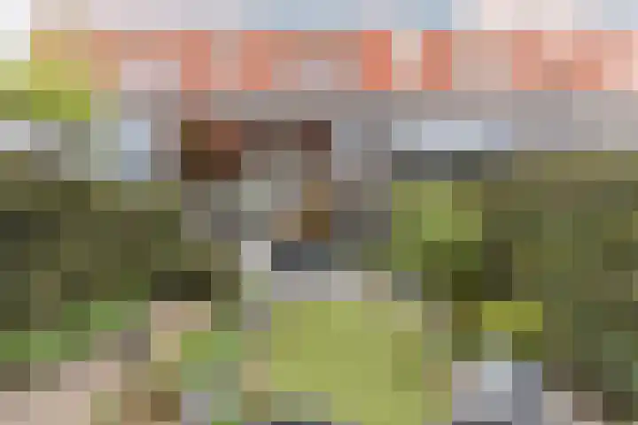 Tapeind 23 Best thumbnail 49