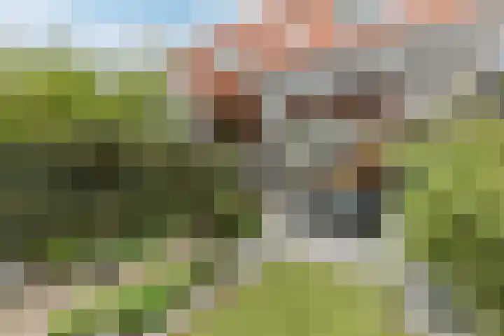 Tapeind 23 Best thumbnail 50