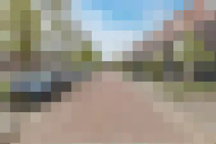 Tapeind 23 Best thumbnail 51