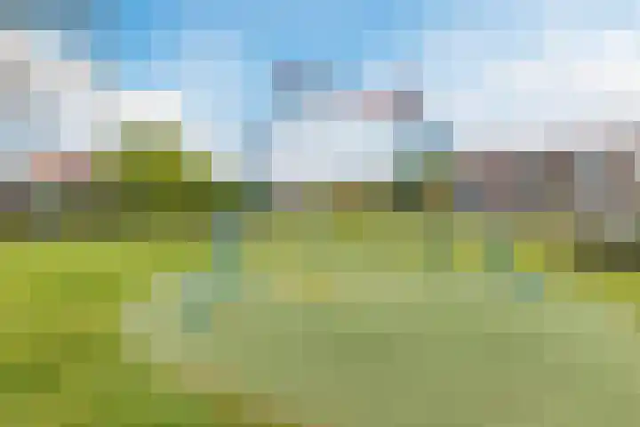 Tapeind 23 Best thumbnail 53