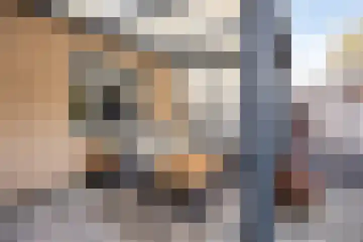 Tarantellastraat 37 Almere thumbnail 36