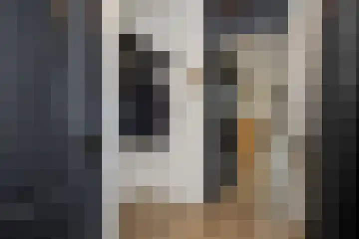 Tarbotstraat 8 Helmond thumbnail 10