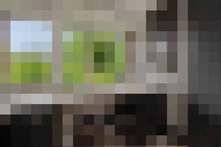 Tarbotstraat 8 Helmond thumbnail 20
