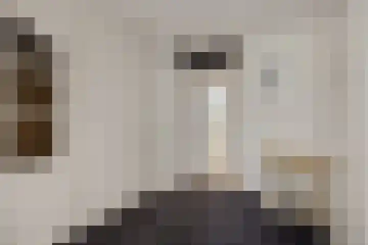 Tarbotstraat 8 Helmond thumbnail 25