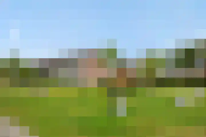 Tarbotstraat 8 Helmond thumbnail 41