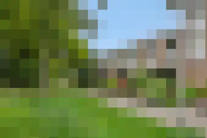 Tarbotstraat 8 Helmond thumbnail 6