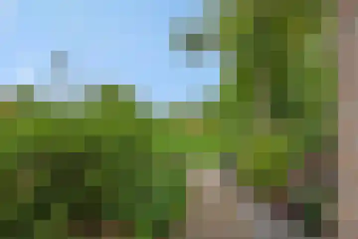 Tarbotstraat 8 Helmond thumbnail 8