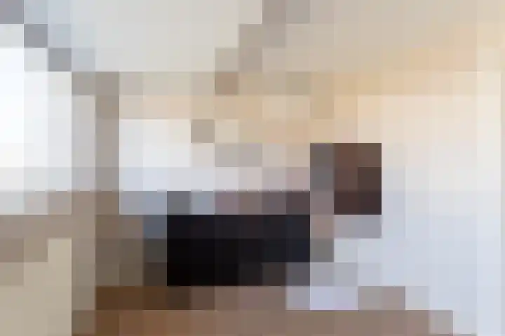 Tarwe 10 Mierlo thumbnail 24