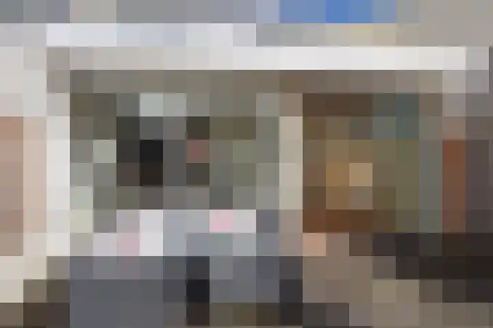 Tarwe 10 Mierlo thumbnail 31