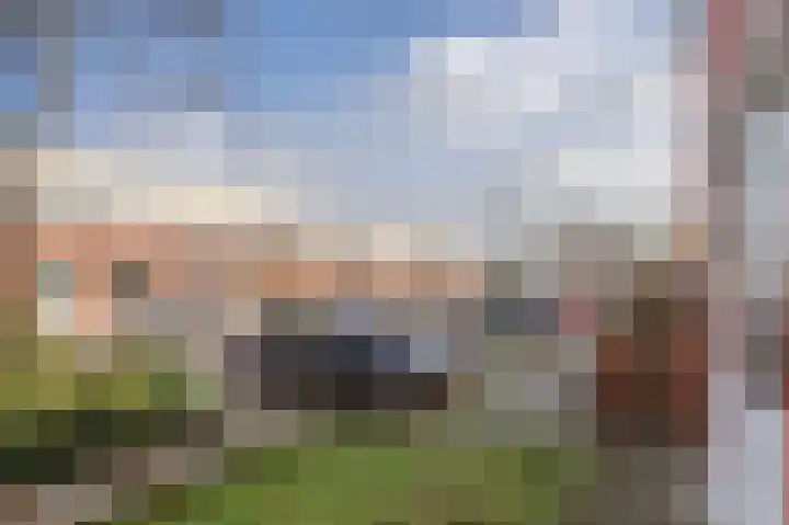 Tarwe 10 Mierlo thumbnail 34