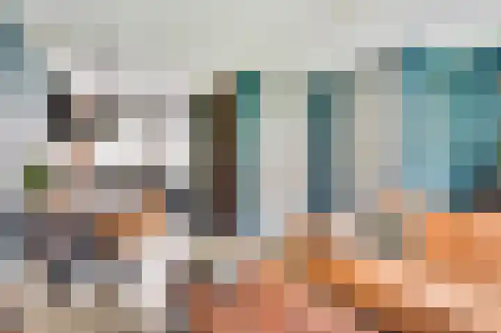 Tarwe 11 Leveroy thumbnail 11