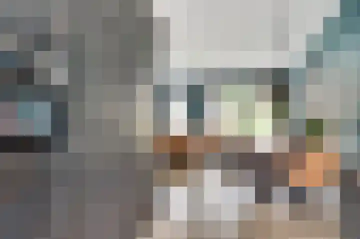 Tarwe 11 Leveroy thumbnail 14