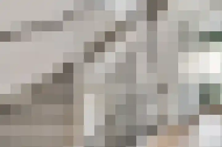 Tarwe 11 Leveroy thumbnail 15