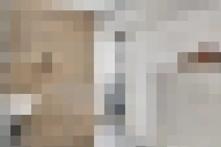 Tarwe 11 Leveroy thumbnail 18