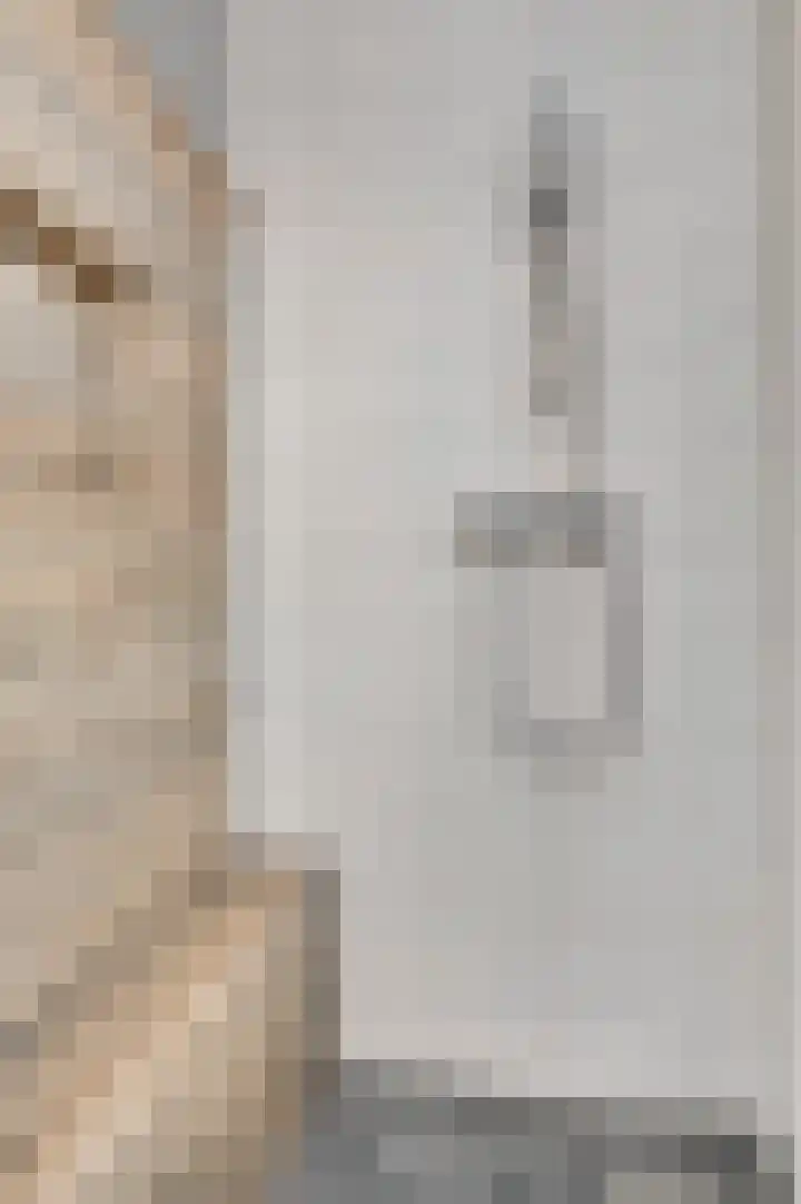 Tarwe 11 Leveroy thumbnail 20