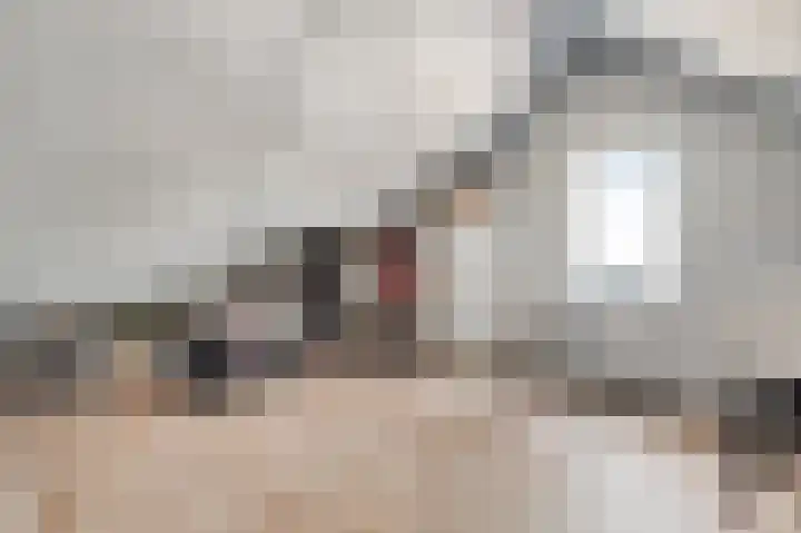 Tarwe 11 Leveroy thumbnail 25