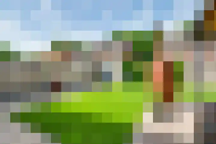 Tarwe 11 Leveroy thumbnail 28