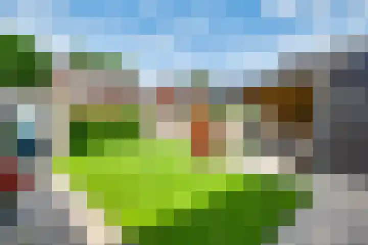 Tarwe 11 Leveroy thumbnail 29