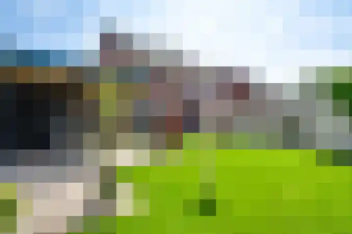 Tarwe 11 Leveroy thumbnail 32