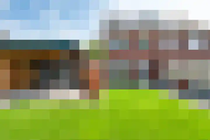 Tarwe 11 Leveroy thumbnail 4