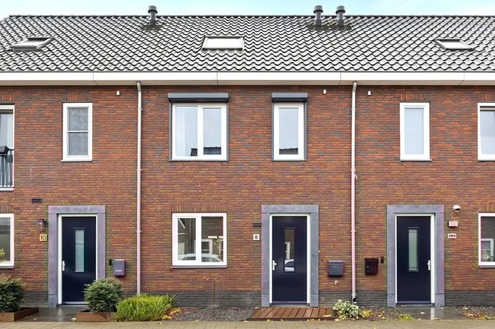 Tarwe 8 in Heusden foto