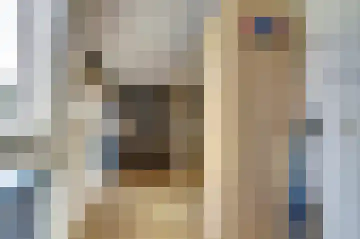 Tarwe 9 Helden thumbnail 23