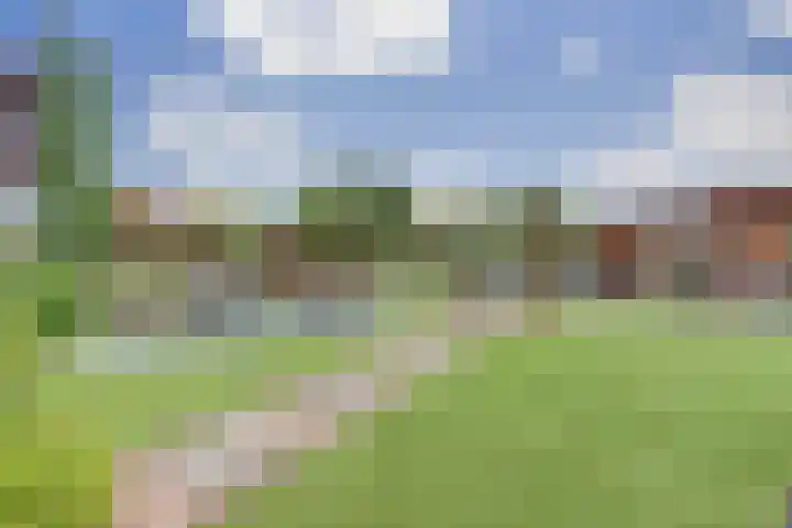 Tarwe 9 Helden thumbnail 4