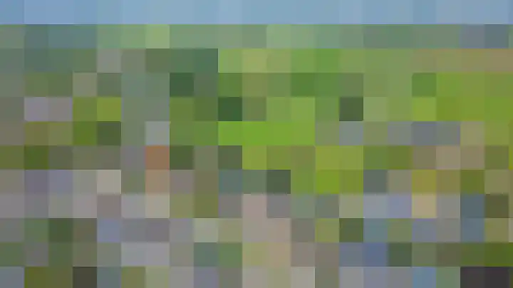Tarwe 9 Helden thumbnail 46