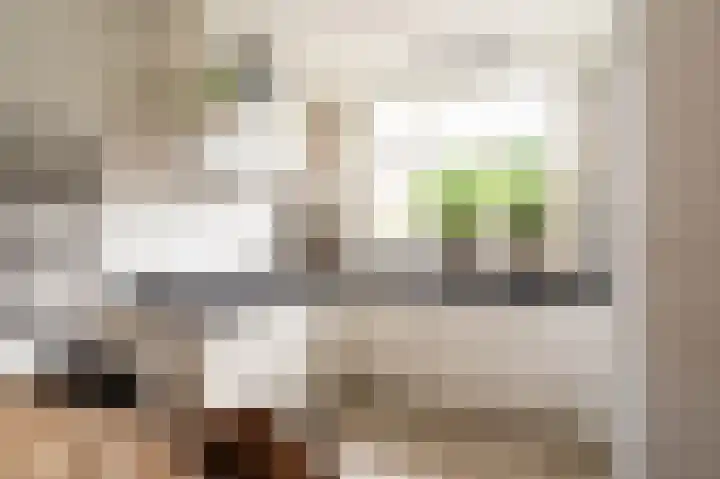 Tarweakker 12 Barneveld thumbnail 10