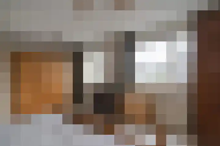Tarweakker 12 Barneveld thumbnail 18