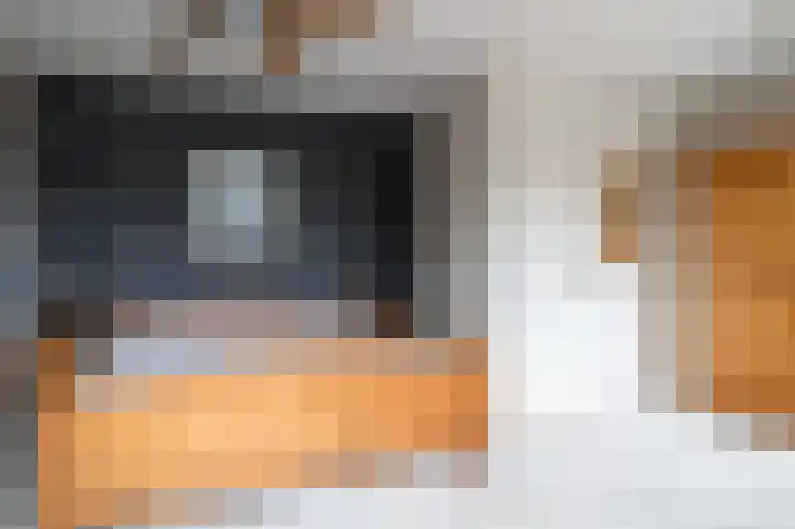 Tarweakker 12 Barneveld thumbnail 19