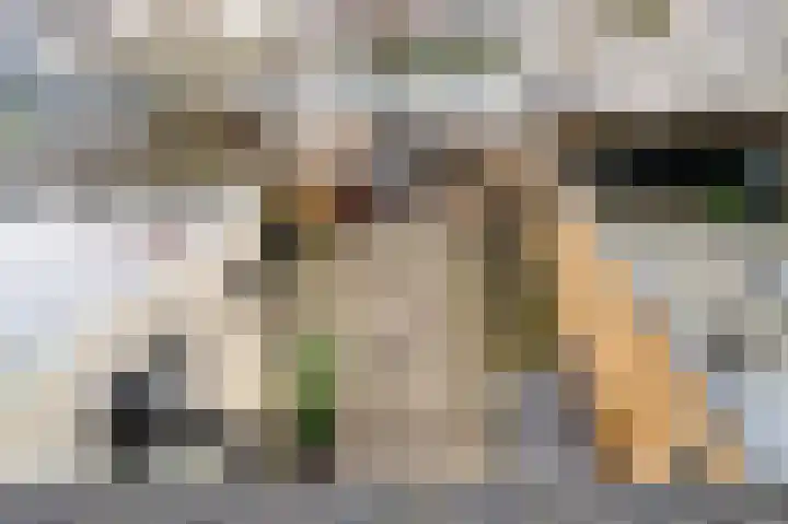 Tarweakker 12 Barneveld thumbnail 21