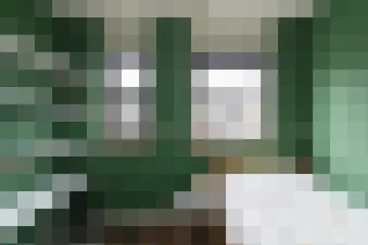 Tarweakker 12 Barneveld thumbnail 26