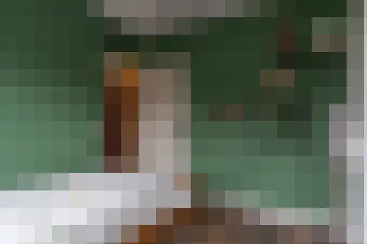 Tarweakker 12 Barneveld thumbnail 27