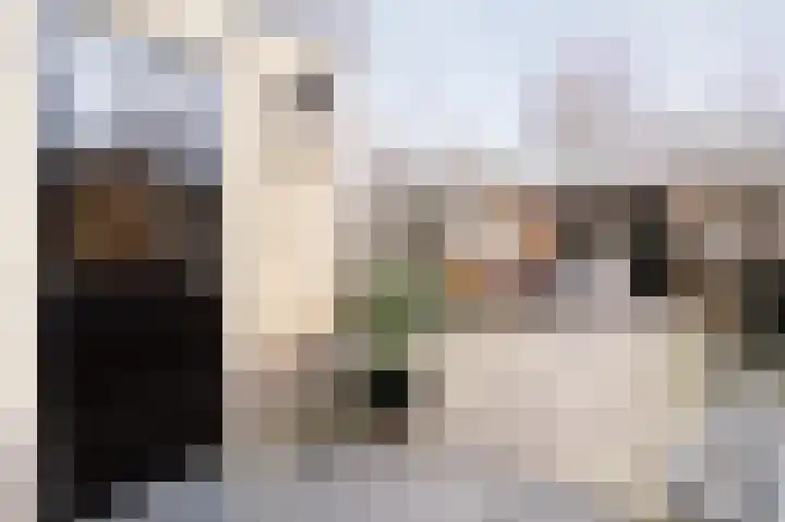 Tarweakker 12 Barneveld thumbnail 35