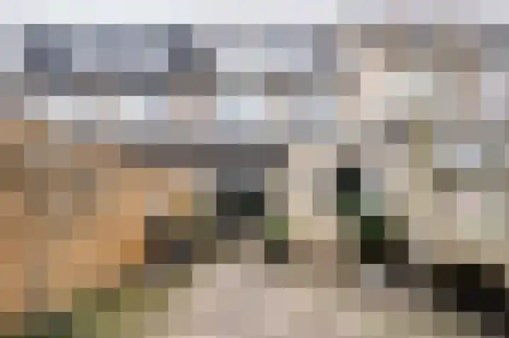 Tarweakker 12 Barneveld thumbnail 36