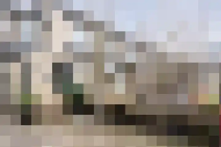 Tarweakker 12 Barneveld thumbnail 38