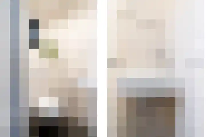 Tarweakker 12 Barneveld thumbnail 4
